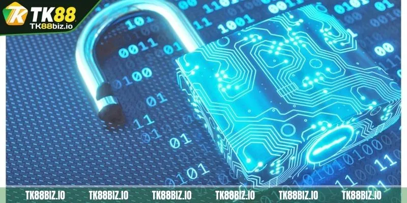 TK88 luôn bảo mật cho người dùng tuyệt đối