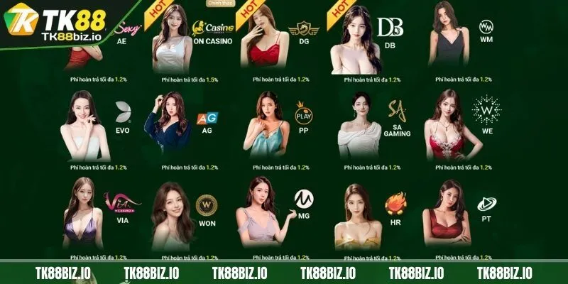Trò chơi casino online đặc sắc tại TK88